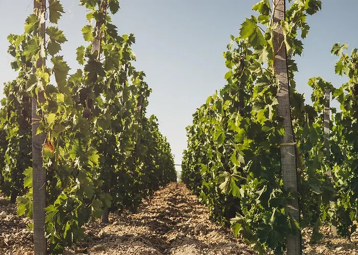 Séjour à la campagne Villadorata